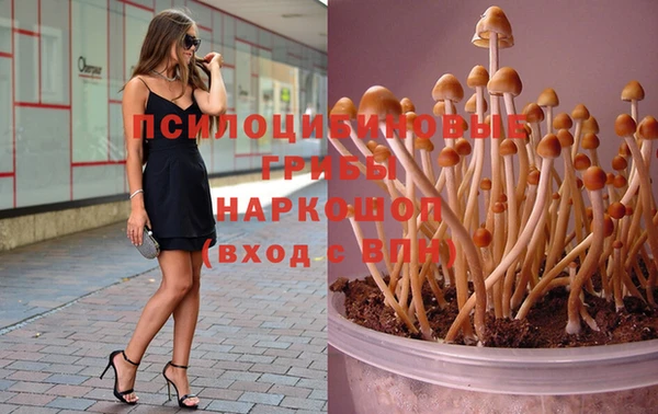 не бодяженный Балахна